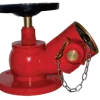 Image.webp
